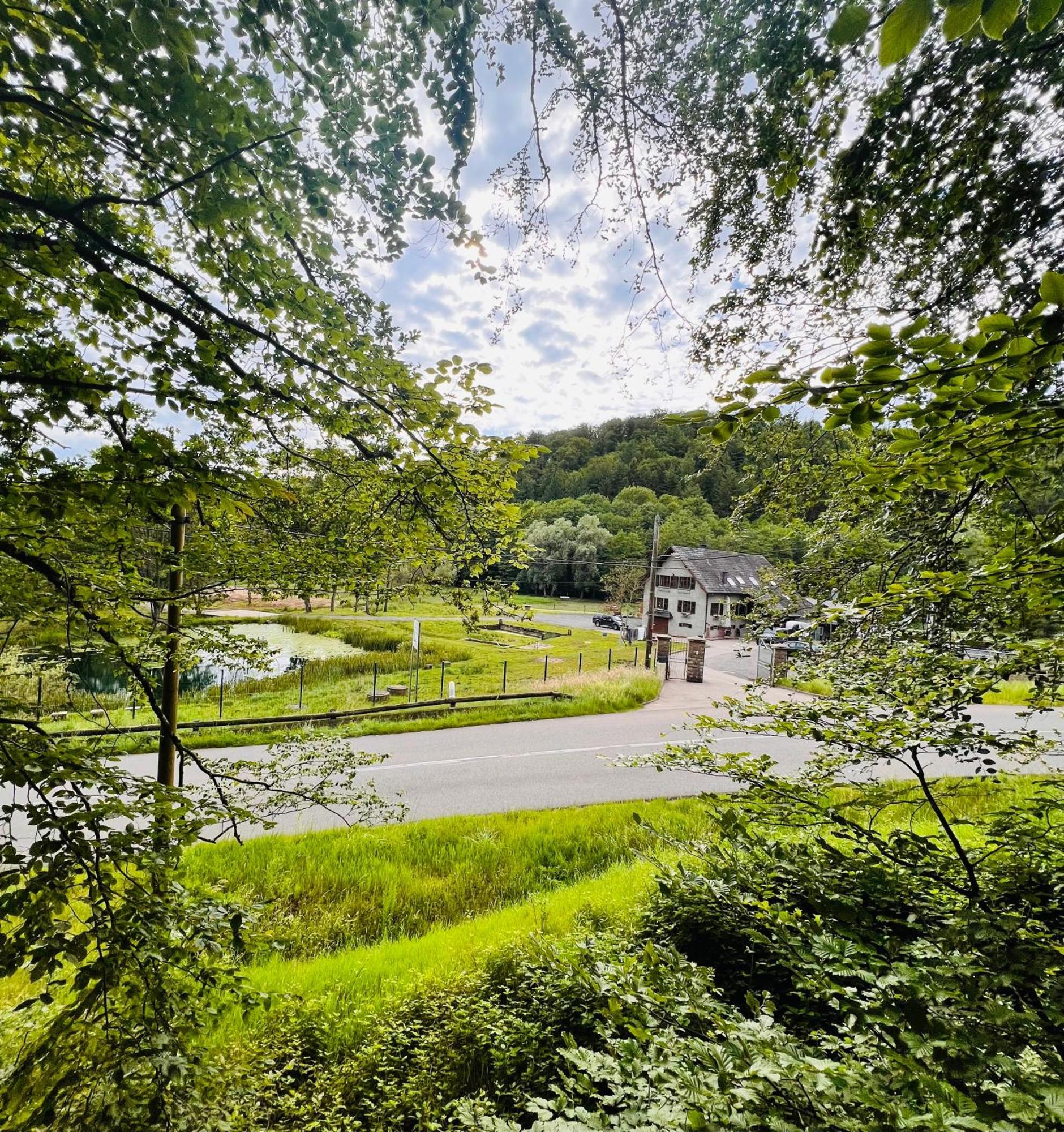 Maison D'Hotes En Pleine Nature Avec Chevaux Soucht Exterior foto